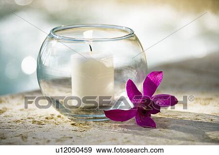 Stock Photo - Lit candle in glass bowl and purple orchid beside pool. Fotosearch