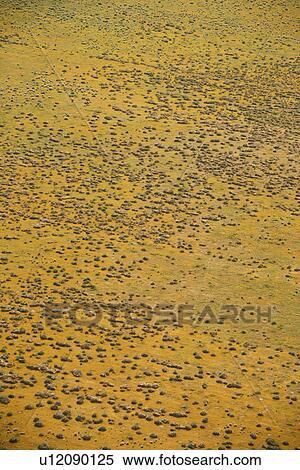 Stock Photography - Aerial of rural grassland in California, USA.. Fotosearch