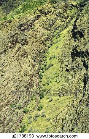 Stock Image - Aerial view of lush rainforest on Maui, Hawaii. Fotosearch