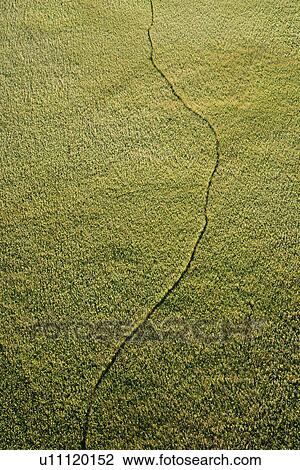Stock Image - Aerial view of narrow pathway through marsh with abundant green foliage.. Fotosearch