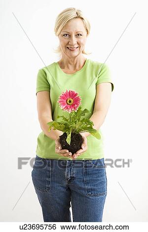 Stock Photograph - Portrait of smiling adult blonde woman standing holding pink gerbera daisy plant.. Fotosearch