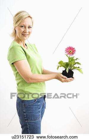 Stock Image - Side view of smiling adult blonde woman standing holding pink gerbera daisy plant.. Fotosearch