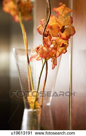 Stock Image - Still life shot of orange orchid in vase. Fotosearch