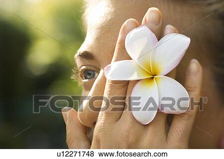 Woman holding plumeria flower over eye View Large Photo Image Stock Photo - Woman holding plumeria flower over eye. Fotosearch