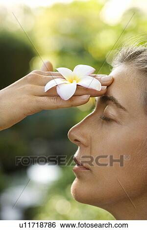 Woman holding plumeria flower View Large Photo Image Stock Photograph - Woman holding plumeria flower. Fotosearch