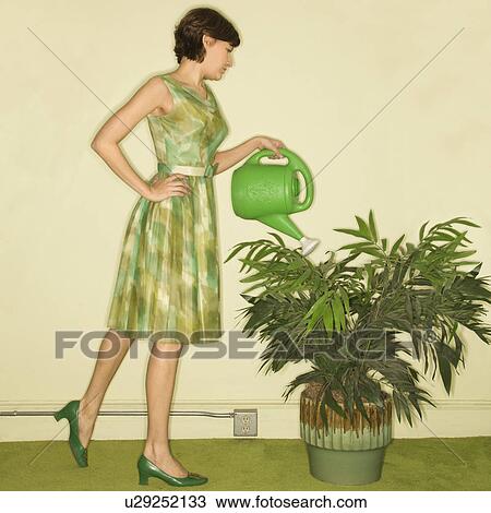 Pretty Caucasian mid-adult woman wearing vintage dress watering houseplant with green watering can. View Large Photo Image Stock Image - Pretty Caucasian mid-adult woman wearing vintage dress watering houseplant with green watering can.. Fotosearch