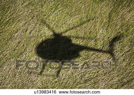 Helicopter shadow over green grassy field in Maui, Hawaii. View Large Photo Image Stock Photograph - Helicopter shadow over green grassy field in Maui, Hawaii.. Fotosearch