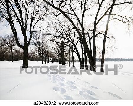 Snow covered trail with footprints at park in Minneapolis, Minnesota View Large Photo Image Stock Image - Snow covered trail with footprints at park in Minneapolis, Minnesota. Fotosearch