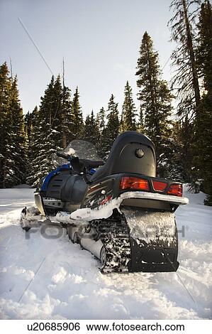 Snowmobile in snow with trees in background View Large Photo Image Stock Photograph - Snowmobile in snow with trees in background. Fotosearch