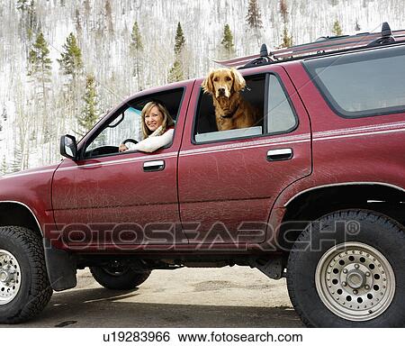 Woman and dog in dirt splattered SUV looking out windows in snowy countryside. View Large Photo Image Stock Photograph - Woman and dog in dirt splattered SUV looking out windows in snowy countryside.. Fotosearch