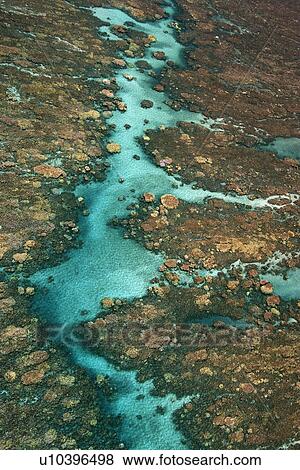 Stock Photo - Aerial view of clear tropical water with coral reef in Maui, Hawaii. Fotosearch