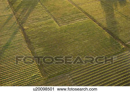 Agricultural cropland View Large Photo Image Stock Image - Agricultural cropland. Fotosearch