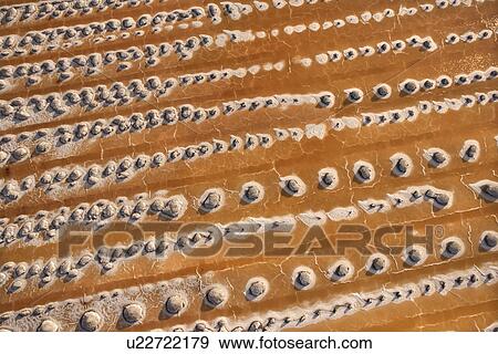 Stock Photo - Alkali flat in Owens Valley, California, USA. Fotosearch