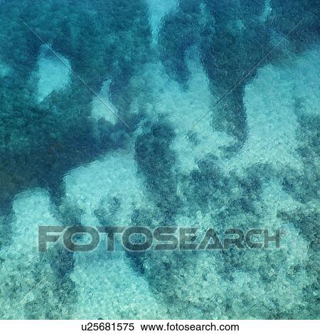 Clear water revealing tropical ocean floor. View Large Photo Image Stock Photography - Clear water revealing tropical ocean floor.. Fotosearch