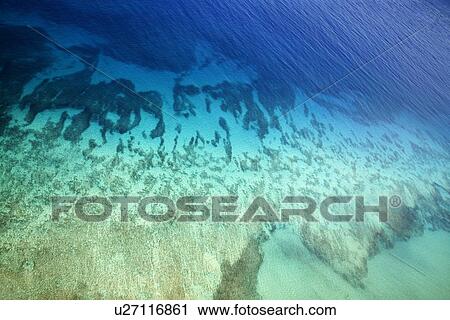 Stock Image - Colorful tropical ocean floor seen through clear water. Fotosearch