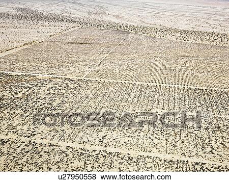Remote California desert with grid pattern View Large Photo Image Stock Photo - Remote California desert with grid pattern. Fotosearch