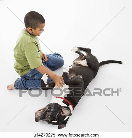 Stock Photography - Boy petting black and white dog on floor. Fotosearch