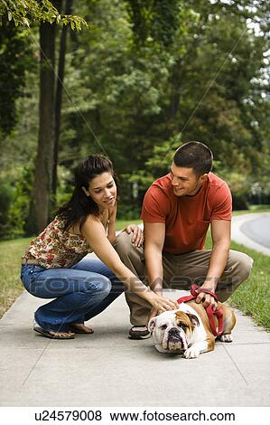Stock Photo - Yong adult couple petting English Bulldog on sidewalk.. Fotosearch