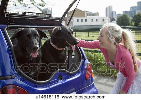 Stock Photograph - Young woman patting dogs in electric car. Fotosearch