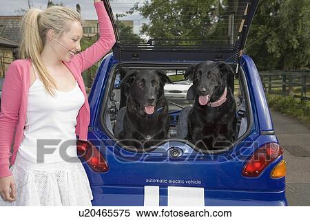 Stock Photography - Young woman putting dogs in electric car. Fotosearch