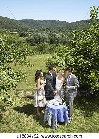 Stock Image - Wedding couple cutting cake in garden. Fotosearch