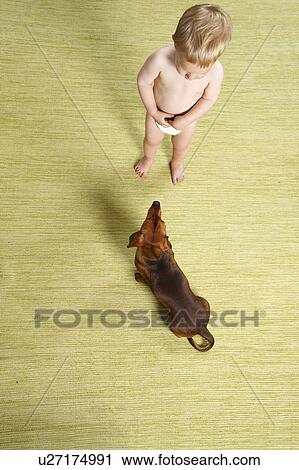 Baby boy with dog View Large Photo Image Stock Image - Baby boy with dog. Fotosearch