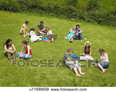 Several young people studying on lawn View Large Photo Image Stock Photo - Several young people studying on lawn. Fotosearch