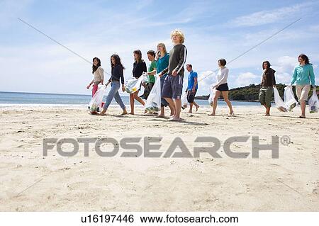 Young people collecting garbage on beach View Large Photo Image Stock Photograph - Young people collecting garbage on beach. Fotosearch
