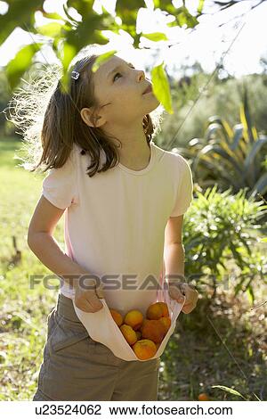 Young girl outside collecting fruit View Large Photo Image Stock Image - Young girl outside collecting fruit. Fotosearch