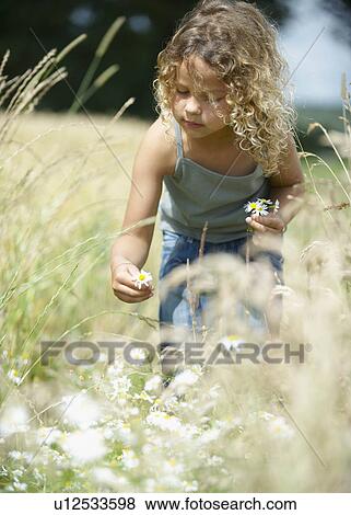 Young girl picking flowers in field View Large Photo Image Stock Photo - Young girl picking flowers in field. Fotosearch
