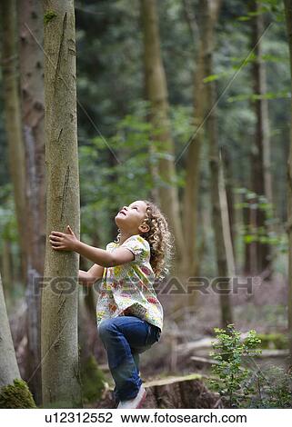 Young girl starting to climb tall tree View Large Photo Image Stock Image - Young girl starting to climb tall tree. Fotosearch
