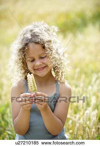 Young girl with ears of corn in field View Large Photo Image Stock Photography - Young girl with ears of corn in field. Fotosearch