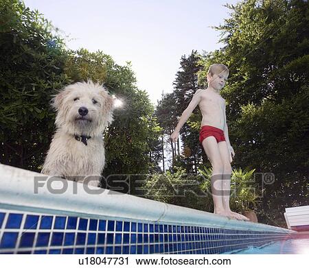 Stock Image - Boy with dog about to jump into pool. Fotosearch