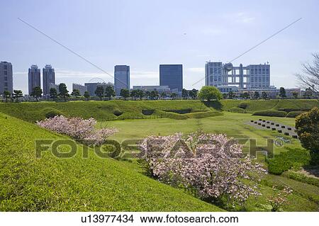 Picture - Daiba. Fotosearch