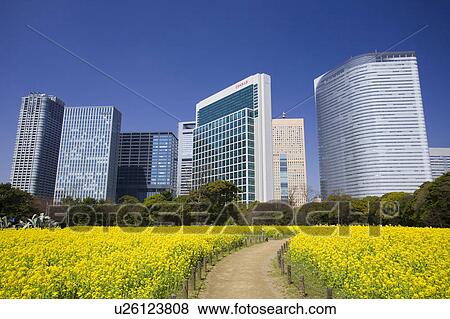 Shiodome high-rise buildings View Large Photo Image Stock Photo - Shiodome high-rise buildings. Fotosearch