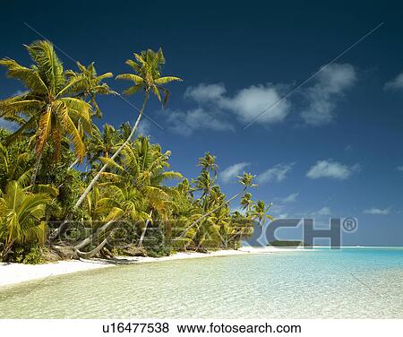 Beach View Large Photo Image Stock Photo - Beach. Fotosearch