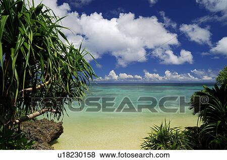 Beach View Large Photo Image Stock Photo - Beach. Fotosearch