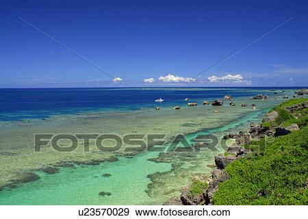 Stock Photo - Coral reef. Fotosearch