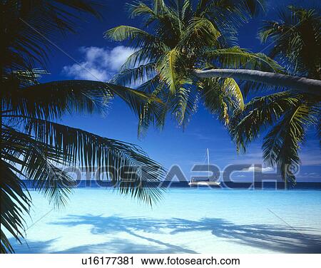 Ocean View Large Photo Image Stock Image - Ocean. Fotosearch