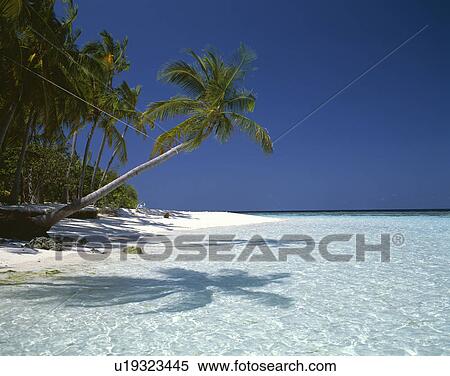 Resort View Large Photo Image Stock Photography - Resort. Fotosearch