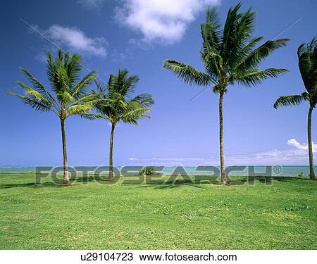 Scenery View Large Photo Image Stock Image - Scenery. Fotosearch