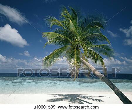 Scenery View Large Photo Image Stock Photo - Scenery. Fotosearch
