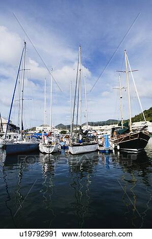 Sailboats docked at a harbor View Large Photo Image Stock Image - Sailboats docked at a harbor. Fotosearch