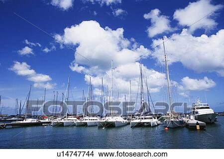 Sailboats moored at a harbor View Large Photo Image Picture - Sailboats moored at a harbor. Fotosearch