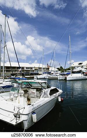 Sailboats moored at a harbor View Large Photo Image Stock Photograph - Sailboats moored at a harbor. Fotosearch