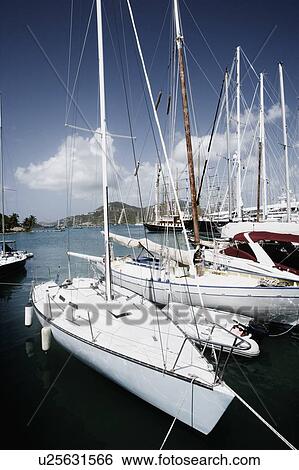 Tourboats moored at a harbor View Large Photo Image Stock Photograph - Tourboats moored at a harbor. Fotosearch