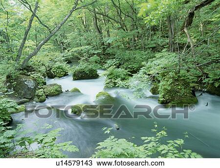 Stock Image - "River and Woods, Aomori, Japan". Fotosearch