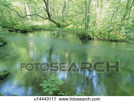 Stock Photo - "River and Woods, Aomori, Japan". Fotosearch