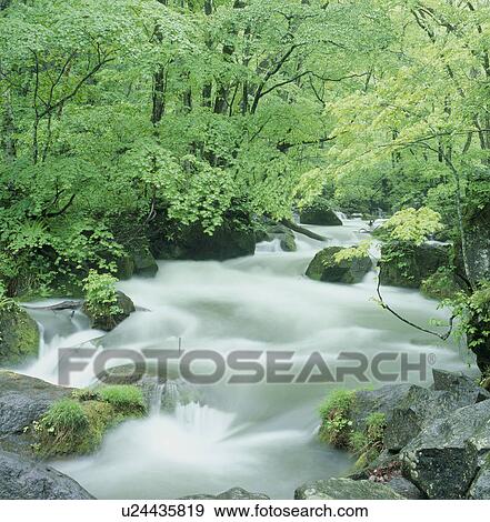 Stock Photo - "River and Woods, Aomori, Japan". Fotosearch