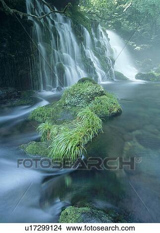 "Waterfall, Akita, Japan" View Large Photo Image Picture - "Waterfall, Akita, Japan". Fotosearch